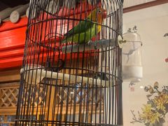 -清真·京华源铜锅涮肉(丰庆店)