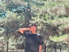 -阿尔丁植物园