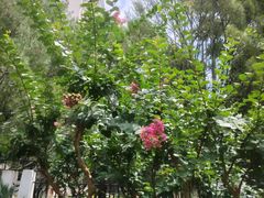 -北京中医药大学-中医药博物馆
