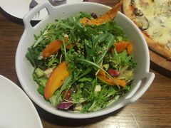 -百好乐宠物友好餐厅(朝外大街店)