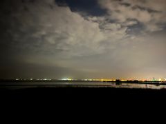 -合肥滨湖国家森林公园