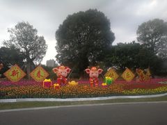 -南宁南湖公园