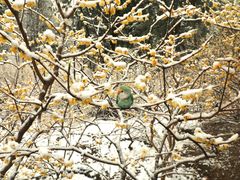 -香山公园-东宫门售票处