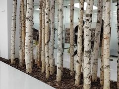 -极简口腔(总院)
