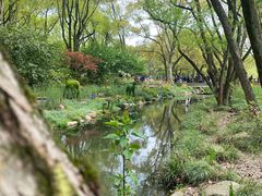 -上海共青森林公园