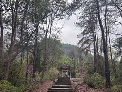 -天台山赤城山景区