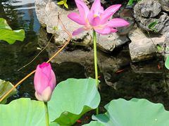 -东山雕花楼