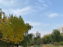 -元大都城垣遗址公园