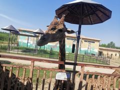 -鄂尔多斯野生动物园