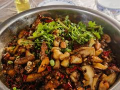 -食神又名厕所兔