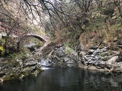 -少华山国家森林公园