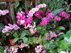 -北京植物园-展览温室