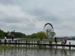 -苏州太湖湖滨国家湿地公园