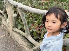 -海南热带野生动植物园