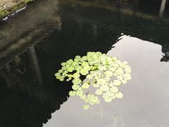 -兰亭风景区