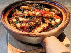 黑松露啫脆鲩煲-淘米捞·米汤脆鲩鱼火锅(福田皇岗店)