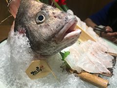 -松岛日本料理(汾江路店)