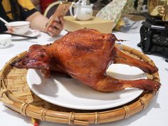-稻香酒家·35年老字号(侨光店)