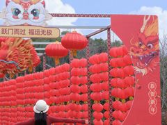 -同里国家湿地公园