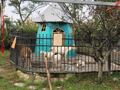 -上海滴水湖皇冠假日酒店