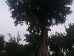 -南宁南湖公园