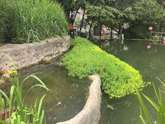 -成都市活水公园