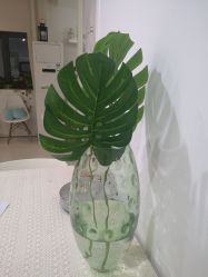 -安那般那皮肤年轻化ANAPANA