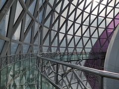 -陕西自然博物馆