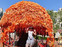 -郑州方特梦幻王国