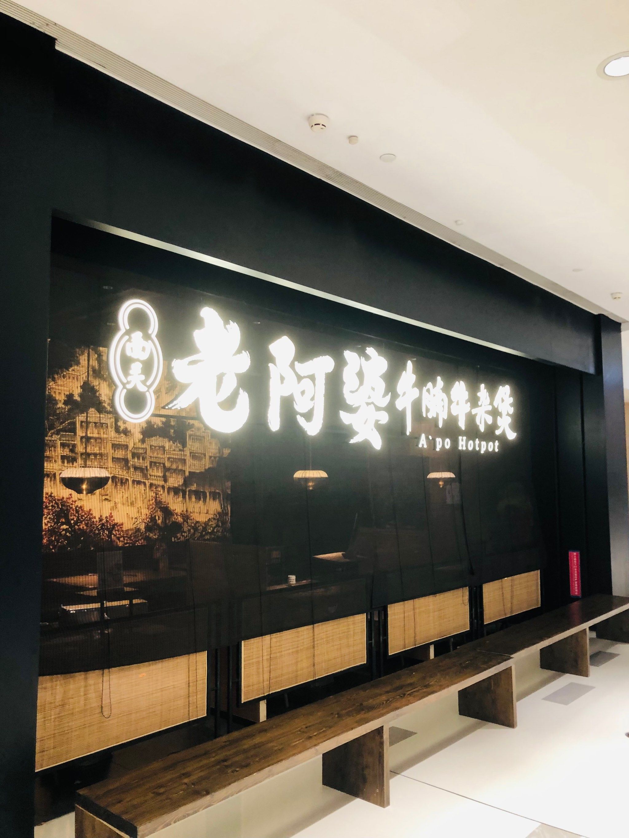 深圳吃牛腩牛杂煲还得是西关老阿婆