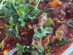 -胖大姐黄辣丁鱼庄(新津店)