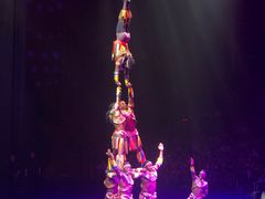 -珠海横琴长隆《卡卡虎奇遇记》