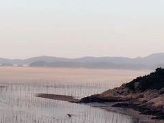 -北岐滩涂