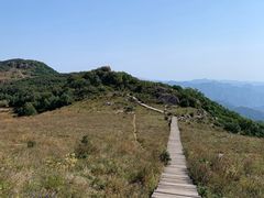 -白草畔自然风景区