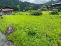 -白川乡与五箇山的合掌构造村落
