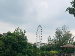 -上海野生动物园