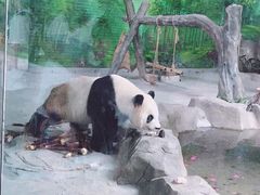 -灵玲国际马戏城
