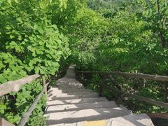 -天女山森林公园