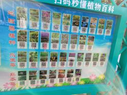 -福州儿童公园