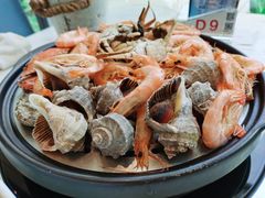 -半岛听涛蒸汽海鲜自助(K11店)