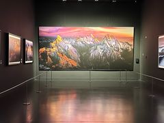 -罗红摄影艺术馆