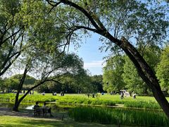 -上海共青森林公园