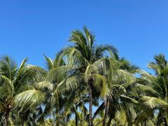 -三亚西岛海洋文化旅游区