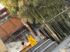 -春晖园度假酒店温泉