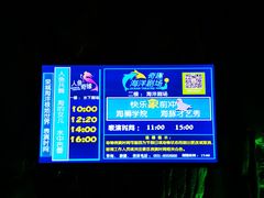 -泉城欧乐堡海洋极地世界