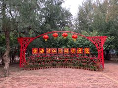 -北海金海湾红树林生态旅游区