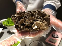 -海底捞火锅(金光华店)