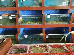 水产区-鹏城人家海鲜酒家·23年老字号(较场尾店)
