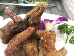-鸽鸟轩(石岐店)