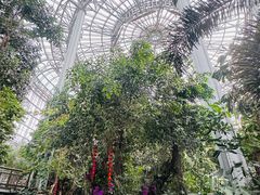 -郑州植物园